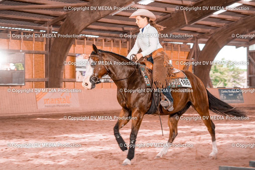 NE300485 | dv-media-shop - Realisiert mit Pictrs.com