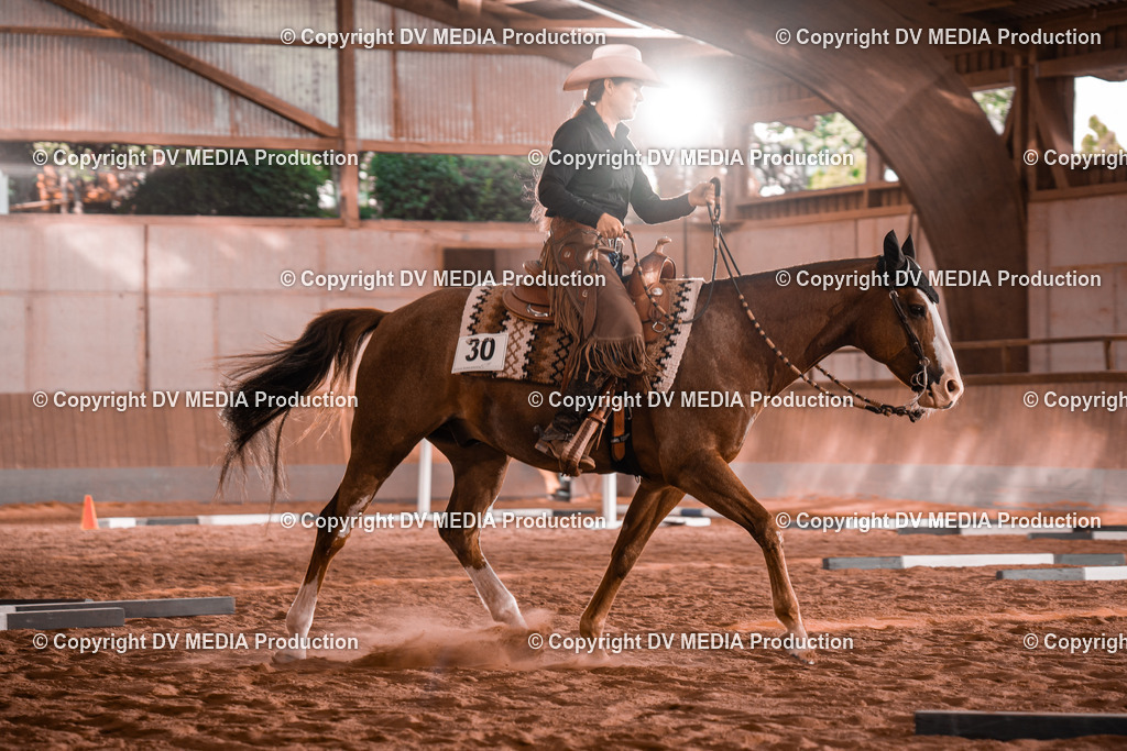 NE300137 | dv-media-shop - Realisiert mit Pictrs.com