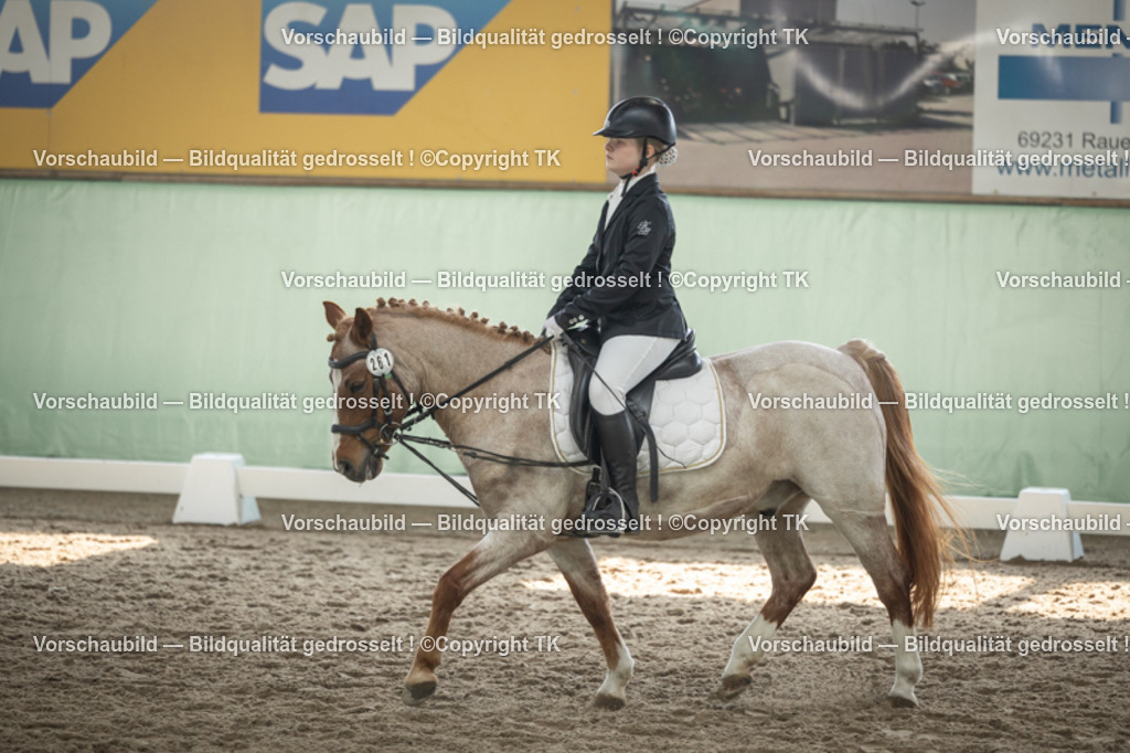 _D5A5589 | Emotionale Pferde- & People-Fotografie rund um Heidelberg, Leimen & Umgebung. Natürliche Fotos von Pferd, Mensch & Familie. Jetzt Termin sichern!