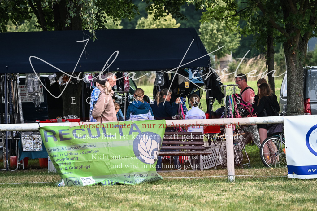 DSC_8591 | Pferde- und Turnierfotografie in Westsachsen. Pferdeportraits, Auftragszeichnungen und intuitive Kunst.