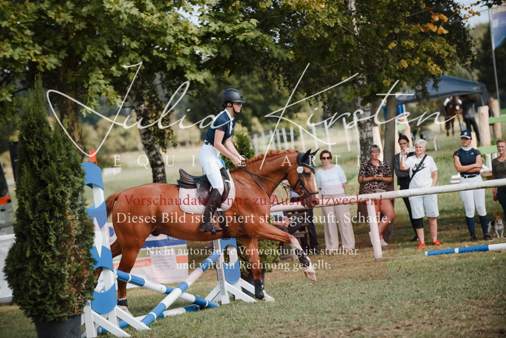 DSC_5354 | Pferde- und Turnierfotografie in Westsachsen. Pferdeportraits, Auftragszeichnungen und intuitive Kunst.