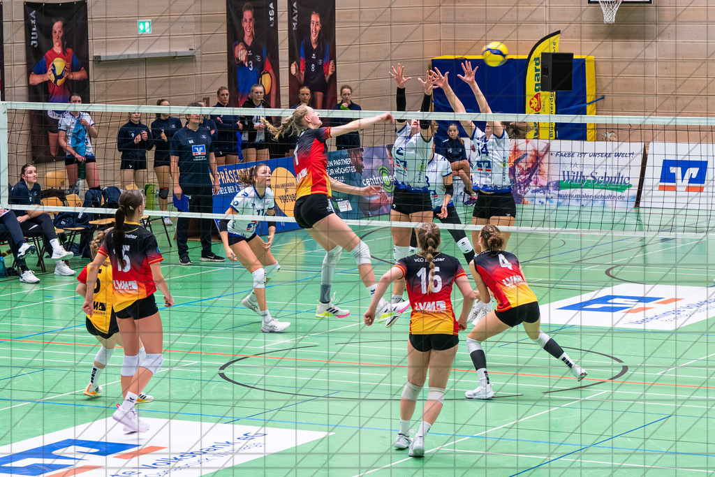 2. VBLF Nord 25/26 | Spiel 4154 | VC Osnabrück vs. VCO Münster | //  29.11.25: 2. VBLF Nord 25/26 | Spiel 4154 | VC Osnabrück vs. VCO Münster / Osnabrück / Deutschland  //   CREDIT:www.bullenfotos.de, Martin König, Hörner Weg 40, D-49078 Osnabrück, +4917663732967 // Nutzung und Weitergabe nur zu den vereinbarten Zwecken. Presseanfragen an Ersteller. Alle Rechte beim Ersteller. Honorierung nach MFM. - Realisiert mit Pictrs.com