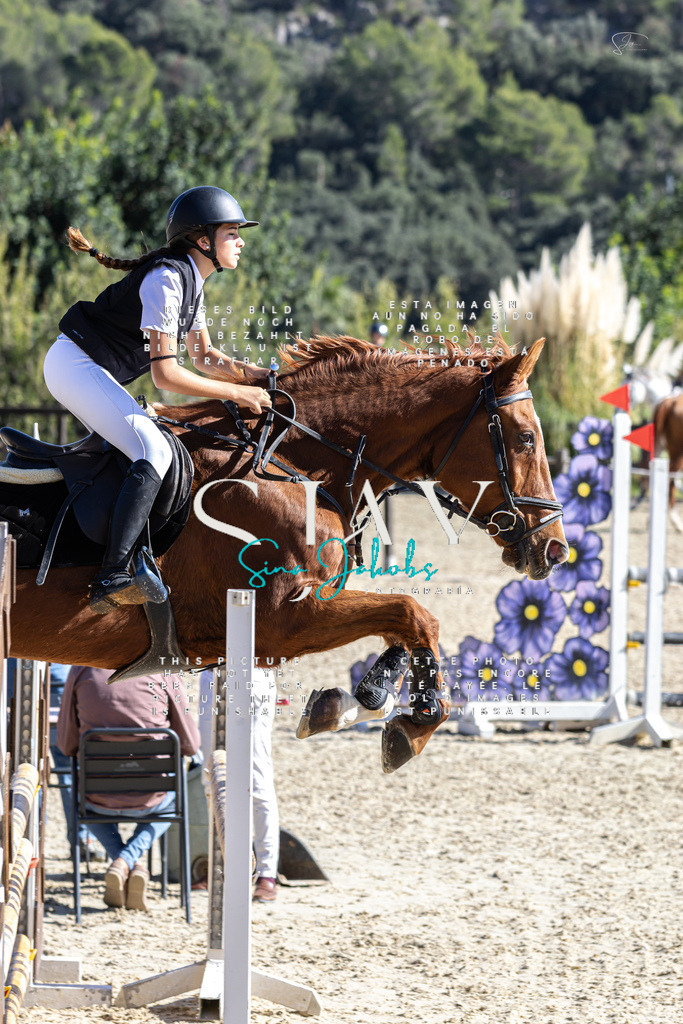 IMG_9906 (2) | s-jay-photography - Realisiert mit Pictrs.com