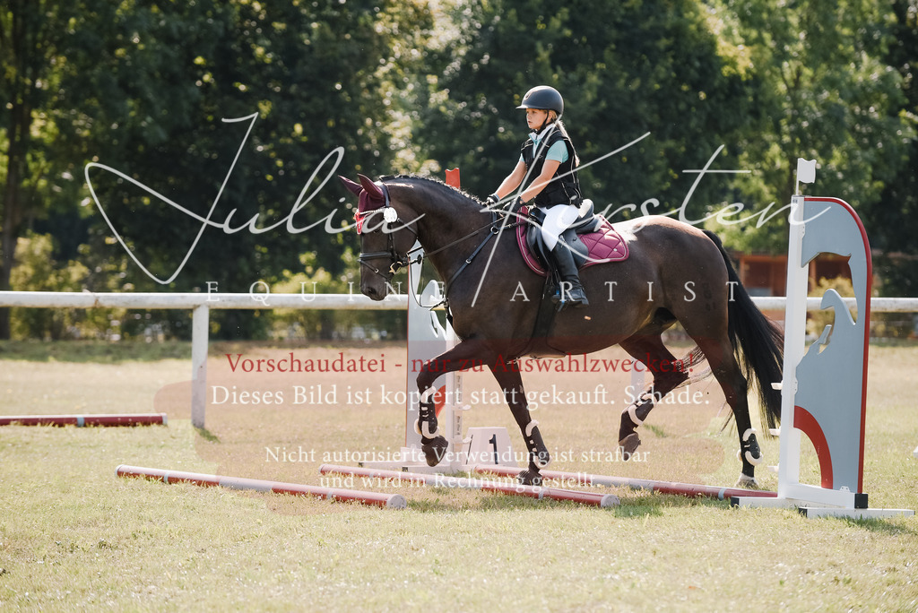 DSC_5236 | Pferde- und Turnierfotografie in Westsachsen. Pferdeportraits, Auftragszeichnungen und intuitive Kunst.