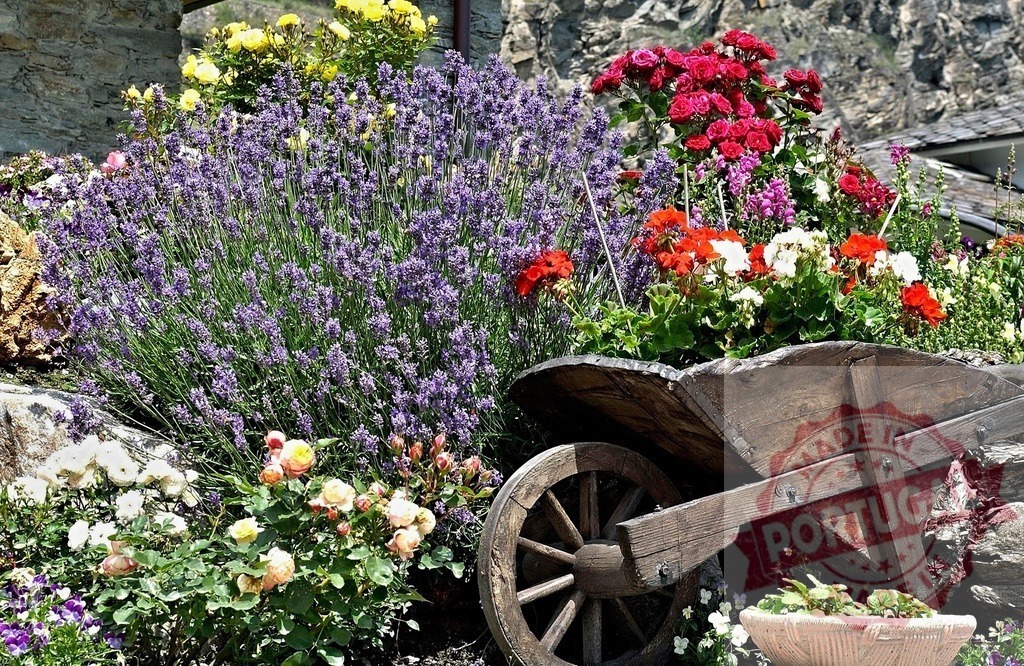 Wooden wheelbarrow overflowing with colorful flowers decorating a garden | Lavender, roses, and geraniums growing in a rustic wooden wheelbarrow, creating a vibrant and charming garden display - Realized with Pictrs.com