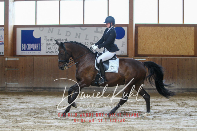 DKP45615 | Turniersportfotografie; Pferdefotografie; Dressurfotografie