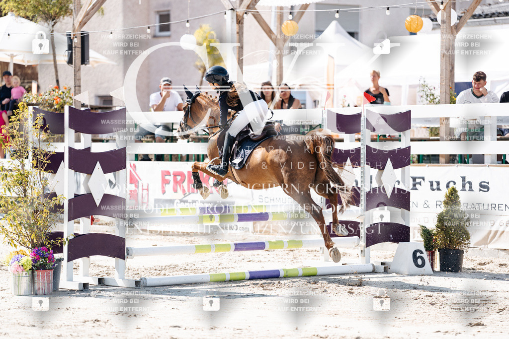 CK905186 | Turnierfotografie Pferdefotografie Trier Rheinland-Pfalz Pferdesport Reitsport Tierfotografie Sportfotografie Pferdevideo Pferdevideografie Equestrianvideography equestrianphotography  - Realisiert mit Pictrs.com