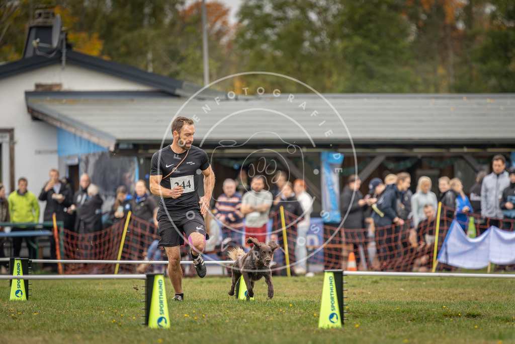 Pfotenfotografie_DV3A5082 | Hundefotografie, Tierfotograf, Pfotenfotografie, Fotoshooting Hund, Hunde Portrait, Hundesport, Hundeportraits, Heideshooting, Hunde, Sportfotograf, Hundefotograf, Turnierhundsport, THS,  - Realisiert mit Pictrs.com