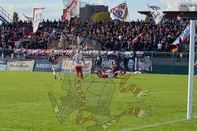 BFC Dynamo vs. FSV Zwickau 129 | mythos-online-redaktion