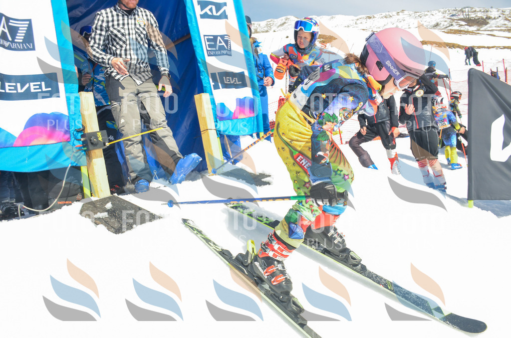 _ELE6285 | holidayphoto