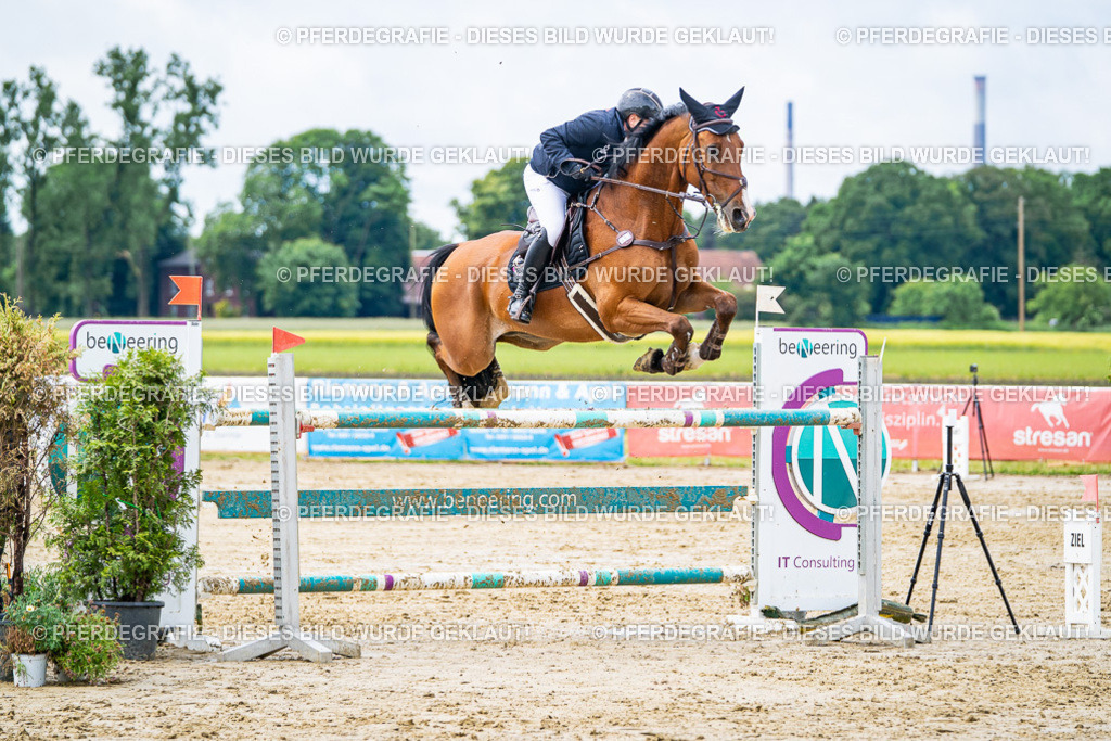 DSC03993 | Pferdegrafie