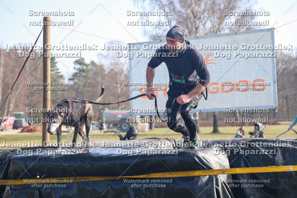 Dog Paparazzi - Strongdog North Mrz26-897 | Dog Paparazzi Jeanette Grottendiek Fotografie & Videografie - Realisiert mit Pictrs.com