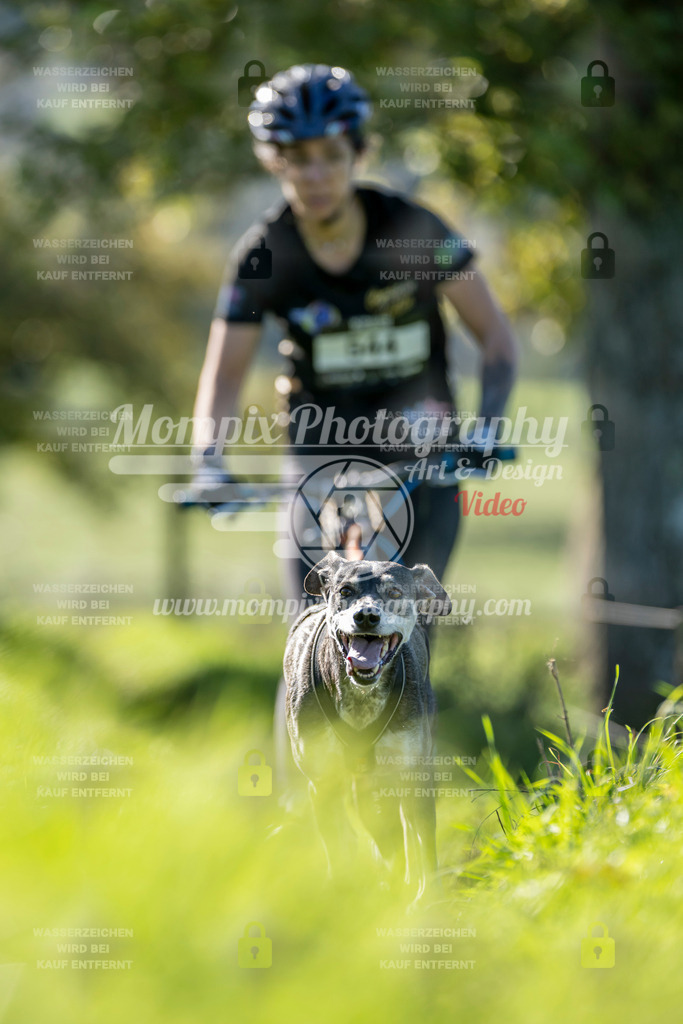 MompixPhotography_20TSB_E3_DS1-53 | PayLife