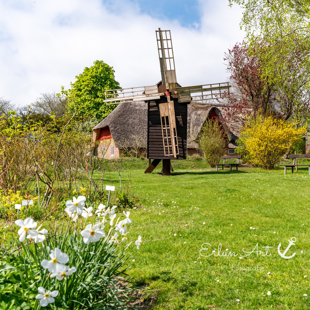 20250425-EAF_8125-2 | Eilun-Art-Fotografie Levke Martens, ihre Fotografin für Immobilien- und Landschaftsfotografie auf Föhr, Föhrer Motive als Poster, Leinwand, hinter Acrylglas oder stelle dir deinen eigenen Monatskalender zusammen, mit nur einem Klick