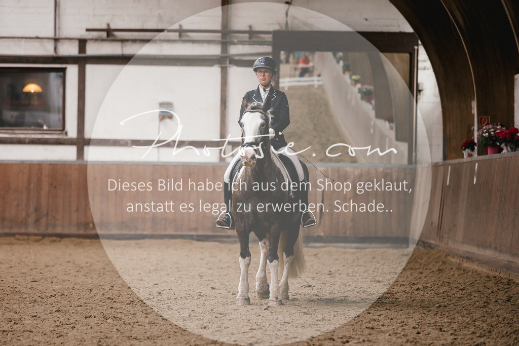 3I6A7500 | Stimmungsvolle Portraits und Reitsportfotografie im Ruhrgebiet und im Münsterland.

Pferdefotografie, Hundefotografie, Tierfotografie, Reportagen, Portraits von Tier und Mensch, Turnierfotografie in Bochum, Recklinghausen, Marl, Haltern am See, Dülmen.. - Realisiert mit Pictrs.com