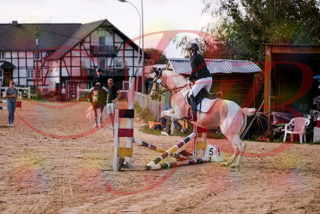 2026_10_03_Siefer-Hof_144303_Z81_16463723 | Professionelle Reitsport-, Turnier- und Eventfotografie von Robert Broda. Galerien mit ausgewählten und bearbeiteten Bildern direkt online ansehen und bestellen.