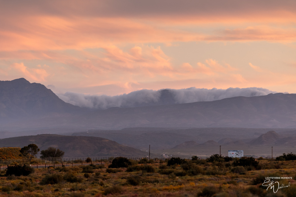 20231003-181522 SOUTHAFRIKA_-1 | Herzlich willkommen auf meiner Seite! Ich bin Elke Wallnisch, Deine Fotografin für lichtstarke Momente. Der Name steht für alles, was mich mit der Fotografie verbindet: Das Licht und seine machtvolle Wirkung auf eine Situation oder unsere Stimmung - Realisiert mit Pictrs.com