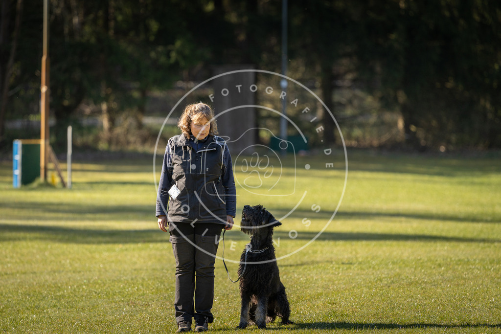 Pfotenfotografie_DV3A0076 | Hundefotografie, Tierfotograf, Pfotenfotografie, Fotoshooting Hund, Hunde Portrait, Hundesport, Hundeportraits, Heideshooting, Hunde, Sportfotograf, Hundefotograf, Turnierhundsport, THS,  - Realisiert mit Pictrs.com