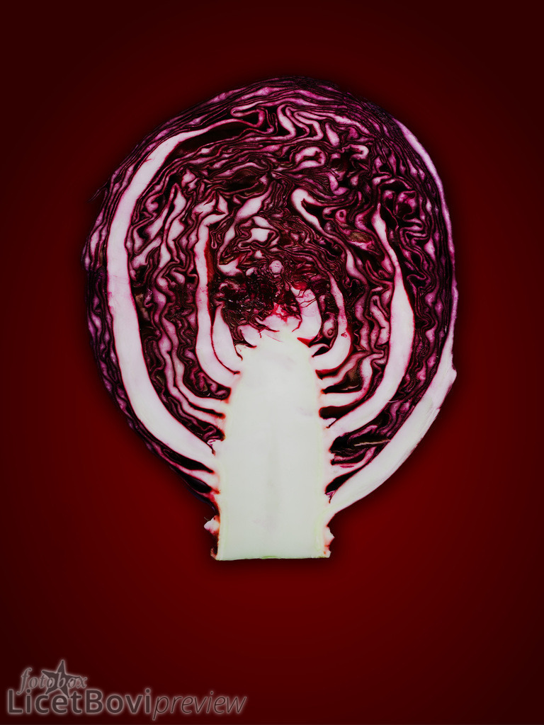 Rotkohl | Hamburg-Bilder, Stadt- und Naturlandschaften, Schafe, Gemüse und Stillleben – dekorative Fotos auf Leinwand, Acryl oder Papier in vielen Formaten oder als Monats-Kalender.
  - Realisiert mit Pictrs.com