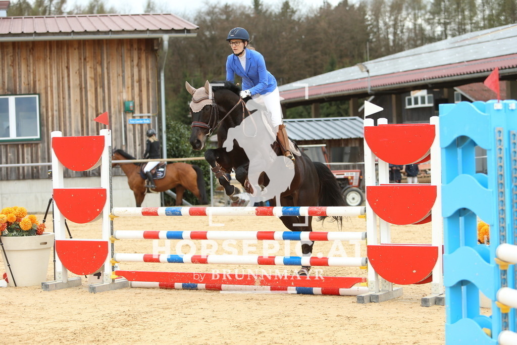 DL2Q2204 | Willkommen bei Brunnmayr - Design & Fotografie – Ihrem Spezialisten für Reitturniere und Pferdeveranstaltungen in Oberösterreich, Salzburg und Bayern! Seit über 17 Jahren sind wir leidenschaftlich dabei.