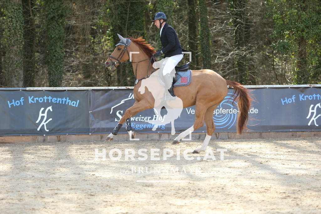 DL2Q9168 | Willkommen bei Brunnmayr - Design & Fotografie – Ihrem Spezialisten für Reitturniere und Pferdeveranstaltungen in Oberösterreich, Salzburg und Bayern! Seit über 17 Jahren sind wir leidenschaftlich dabei.