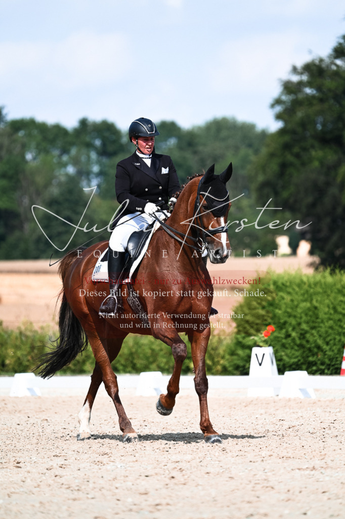 DSC_3283 | Pferde- und Turnierfotografie in Westsachsen. Pferdeportraits, Auftragszeichnungen und intuitive Kunst.