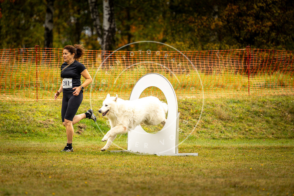 Pfotenfotografie_DV3A2457 | Hundefotografie, Tierfotograf, Pfotenfotografie, Fotoshooting Hund, Hunde Portrait, Hundesport, Hundeportraits, Heideshooting, Hunde, Sportfotograf, Hundefotograf, Turnierhundsport, THS,  - Realisiert mit Pictrs.com