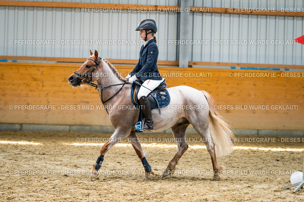 DSC02330 | Pferdegrafie