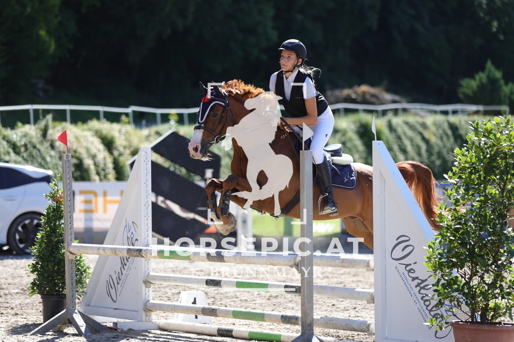 0P6A5195 | Willkommen bei Brunnmayr - Design & Fotografie – Ihrem Spezialisten für Reitturniere und Pferdeveranstaltungen in Oberösterreich, Salzburg und Bayern! Seit über 17 Jahren sind wir leidenschaftlich dabei.