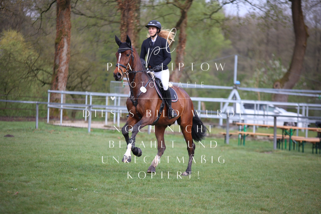 IMGT2355 | pl-fotografie