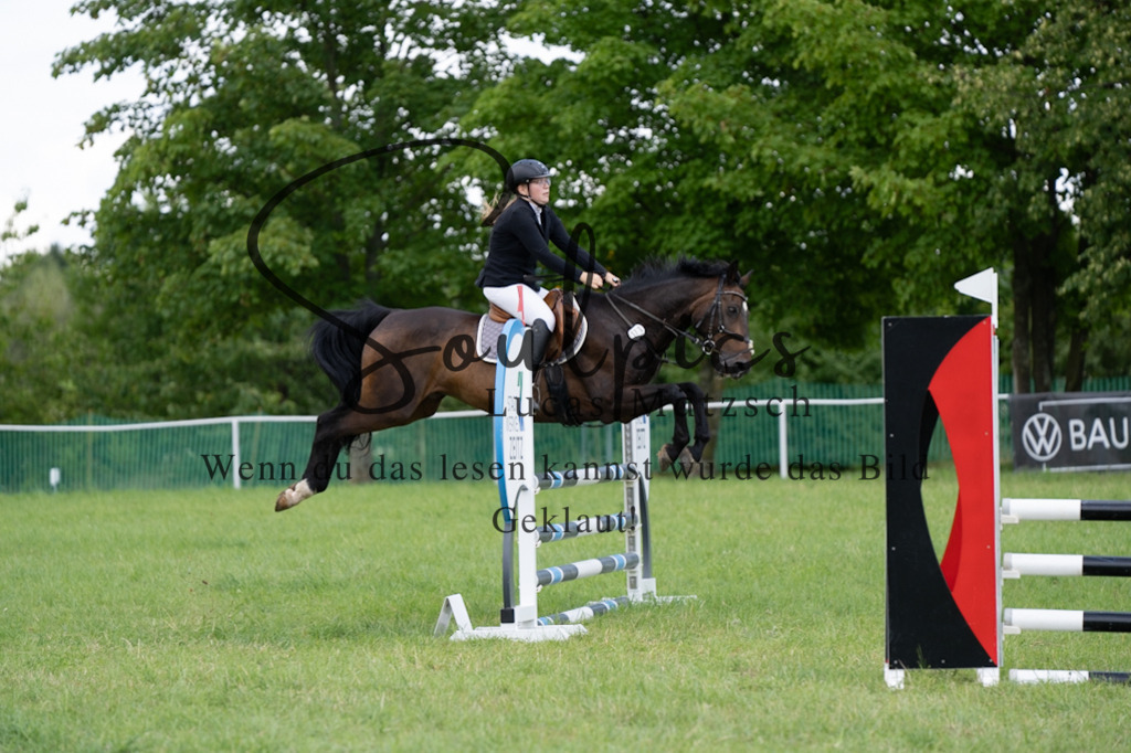 A7V04419 | Pferdefotograf