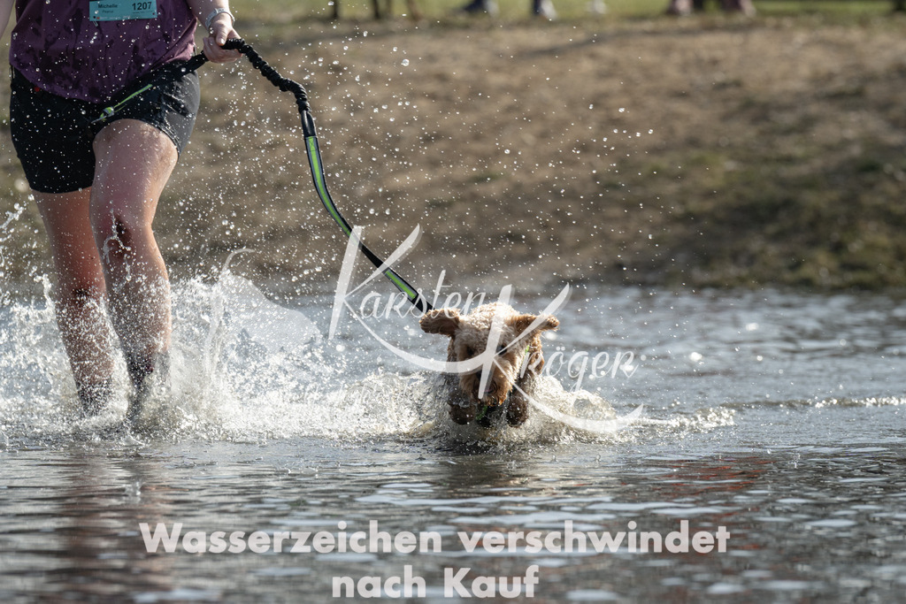 1141_ZZ95776-2 | kk-dogfotos