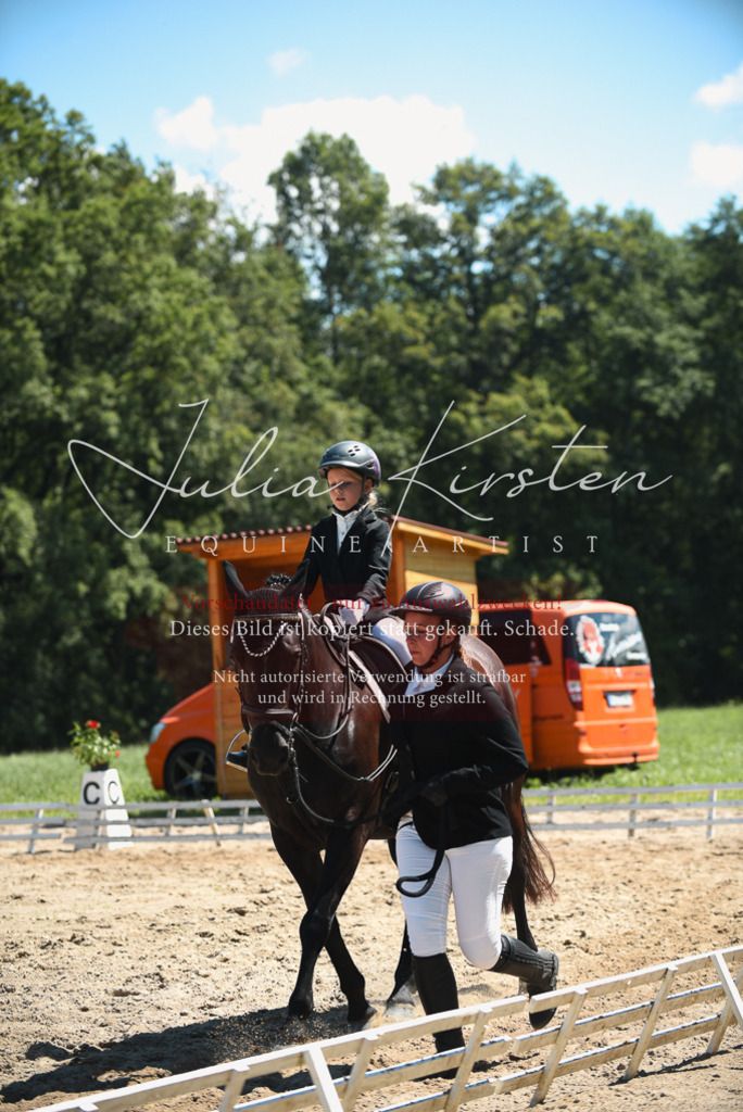DSC_1867 | Pferde- und Turnierfotografie in Westsachsen. Pferdeportraits, Auftragszeichnungen und intuitive Kunst.