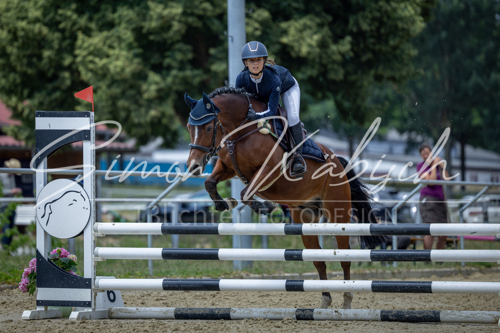 20260704-_3LI8971 | Tierfotografie Pferde, Hunde, Katzen, Haustiere.
Turnierfotografie Reitturniere, Reiten, Springreiten, Dressur in Hanau, dem Main-Kinzig-Kreis und dem Rhein-Main- Gebiet um Frankfurt