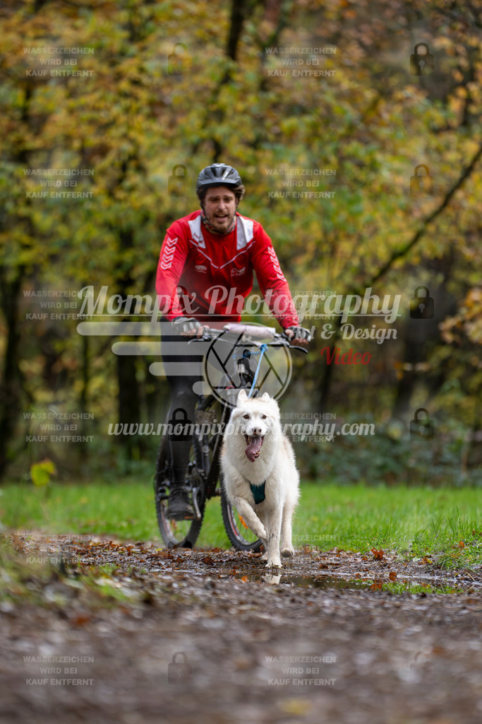 MompixPhotography_Bischwiller23_Bike-29 | mompixphotography