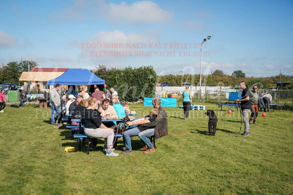 20250928_Hunderennen-728 | MuT (Mensch und Tier) mit Mona - Fotografie und Tierkommunikation - Realisiert mit Pictrs.com