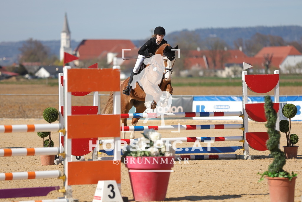 0P6A1776 | Willkommen bei Brunnmayr - Design & Fotografie – Ihrem Spezialisten für Reitturniere und Pferdeveranstaltungen in Oberösterreich, Salzburg und Bayern! Seit über 17 Jahren sind wir leidenschaftlich dabei.