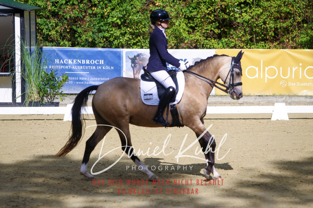 DKP40863 | Turniersportfotografie; Pferdefotografie; Dressurfotografie