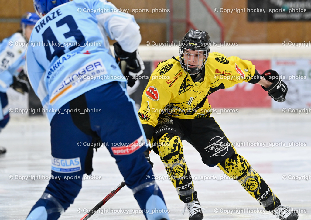 EC Spittal Hornets vs. ESC Steindorf 7.12.2022 | #8 Komar Luca