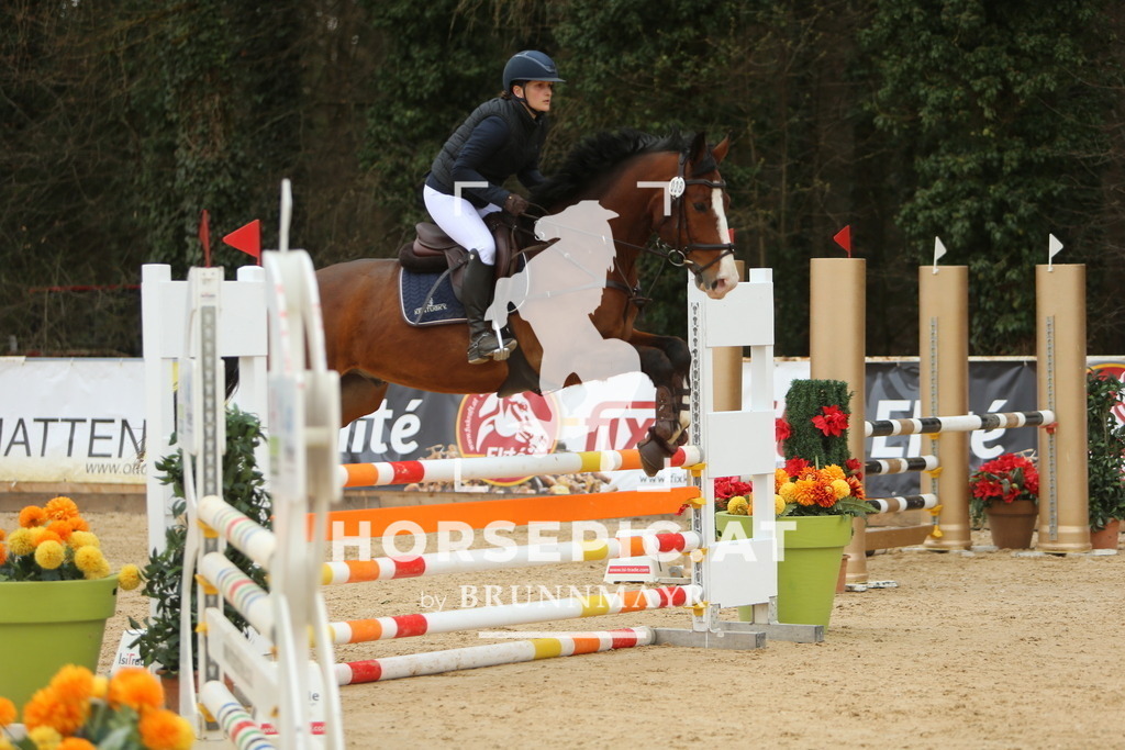 DL2Q6089 | Willkommen bei Brunnmayr - Design & Fotografie – Ihrem Spezialisten für Reitturniere und Pferdeveranstaltungen in Oberösterreich, Salzburg und Bayern! Seit über 17 Jahren sind wir leidenschaftlich dabei.