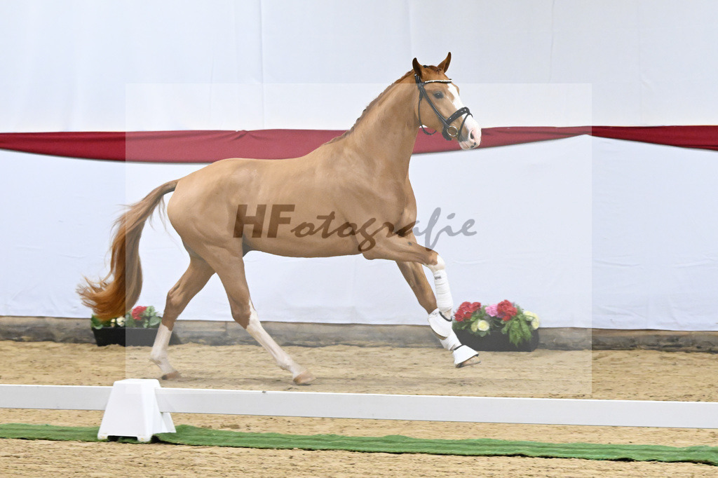 Kat-Nr. 10 v. Fuerst Samarant_Beckmann_63220042 | hf-fotografie - Realisiert mit Pictrs.com