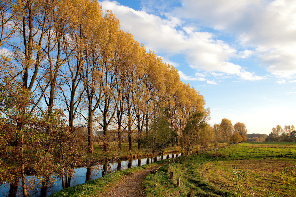 101031-028 | Europa, DEU, Deutschland, Nordrhein Westfalen, NRW, Rheinland, Niederrhein, Wachtendonk, Fluss, Die Niers, Flusslandschaft, Aue, Flussaue, Auenlandschaft, Herbst, Baeume, Pappeln, Pappelbaeume, Kategorien und Themen, Natur, Umwelt, Landschaft, Jahreszeiten, Stimmungen, Landschaftsfotografie, Landschaften, Landschaftsphoto, Landschaftsphotographie, Wetter, Wetterelemente, Wetterlage, Wetterkunde, Witterung, Witterungsbedingungen, Wettererscheinungen, Meteorologie, Wettervorhersage....[Fuer die Nutzung gelten die jeweils gueltigen Allgemeinen Liefer-und Geschaeftsbedingungen. Nutzung nur gegen Verwendungsmeldung und Nachweis. Download der AGB unter http://www.image-box.com oder werden auf Anfrage zugesendet. Freigabe ist vorher erforderlich. Jede Nutzung des Fotos ist honorarpflichtig gemaess derzeit gueltiger MFM Liste - Kontakt, Uwe Schmid-Fotografie, Duisburg, Tel. (+49).2065.677997, ..archiv@image-box.com, www.image-box.com] - Realisiert mit Pictrs.com