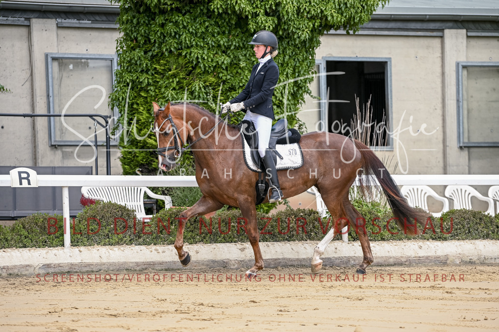 Schugtsche-Aluta25-48.Reitpferfdeprf.-93 | Schugtsche Fotografie - Realisiert mit Pictrs.com
