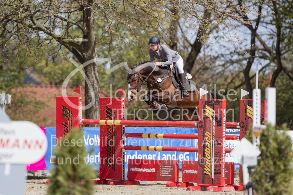 230501_SpengeW_M2St-237 | Deine schönsten Turniermomente als professionelle Fotos! Entdecke hochwertige Pferdesport-Fotografie im Online-Shop. Jetzt Fotos finden & bestellen!