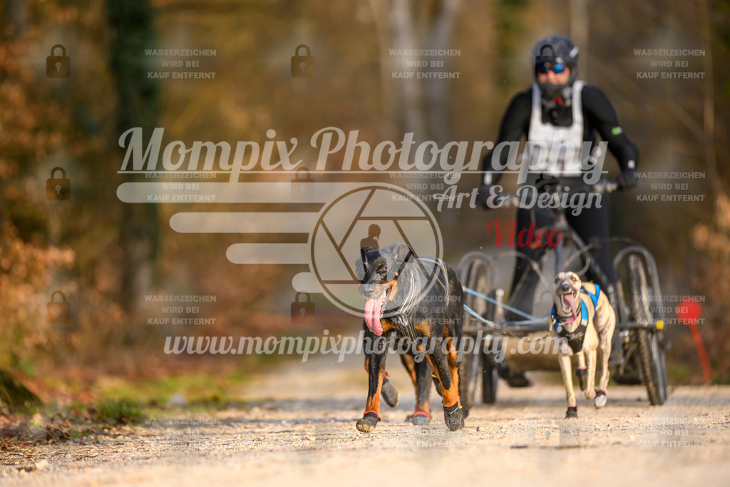 MompixPhotography_6ReiatRennen2026_SO_Kart-26 | PayLife