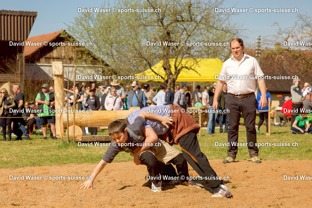 Huber Kilian (2015) - Bachmann Remo (2016) 06.04.2026 HEMISHOFEN_ SCHAFFHAUSER FRÜHLINGSSCHWINGFEST (1)-1 | Huber Kilian (2015) - Bachmann Remo (2016) 06.04.2026 HEMISHOFEN, SCHAFFHAUSER FRÜHLINGSSCHWINGFEST