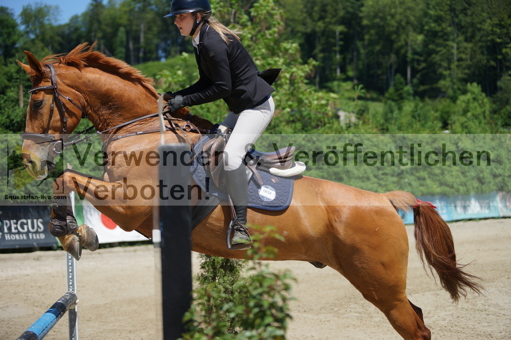 DSC09193 | equestrian-live-com