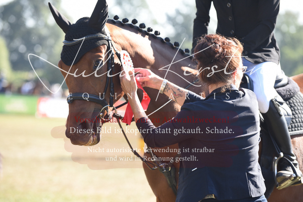 DSC_5472 | Pferde- und Turnierfotografie in Westsachsen. Pferdeportraits, Auftragszeichnungen und intuitive Kunst.