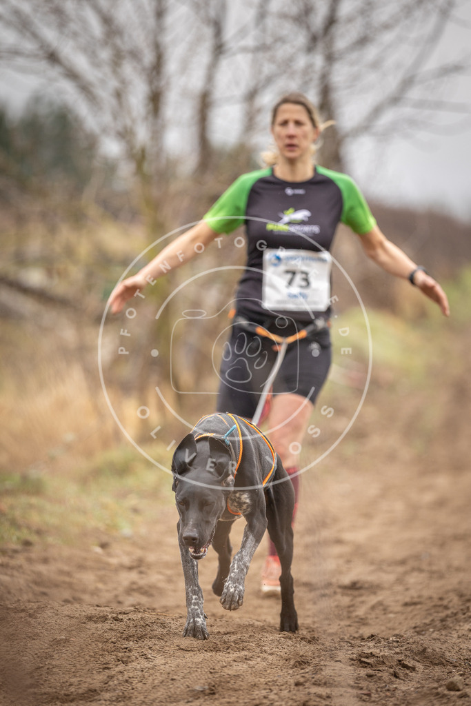 DV3A9700 | Hundefotografie, Tierfotograf, Pfotenfotografie, Fotoshooting Hund, Hunde Portrait, Hundesport, Hundeportraits, Heideshooting, Hunde, Sportfotograf, Hundefotograf, Turnierhundsport, THS,  - Realisiert mit Pictrs.com
