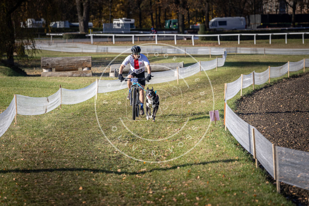 CaniXpix_DV3A3814 | Hundefotografie, Tierfotograf, Pfotenfotografie, Fotoshooting Hund, Hunde Portrait, Hundesport, Hundeportraits, Heideshooting, Hunde, Sportfotograf, Hundefotograf, Turnierhundsport, THS,  - Realisiert mit Pictrs.com